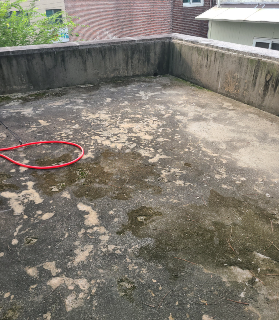 덕풍동 공원 화장실 옥상 전경 — 물 고임 확인